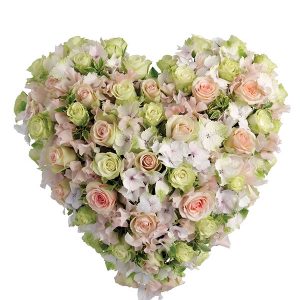 Soft Heart