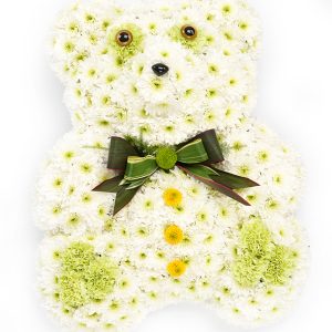 Teddy Bear